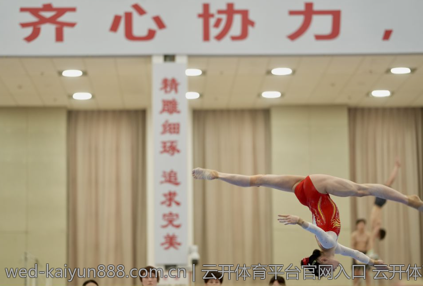 云开体育平台官网入口 云开体育官方入口入口安全验证流程